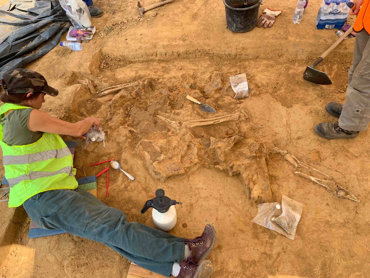 ProfTonyPollard's tweet photo. Mont St Jean is a farm behind Wellington's centre &amp; his main field hospital. Thousands of men treated here during &amp; after battle. @DigWaterloo excavated remains of 3 amputated legs on this farm. One contained a shattered musket ball. Incredibly thought provoking. #Waterloo205 https://t.co/J5OAns5VC9
