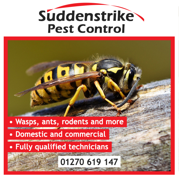 Suddenstrikeltd's tweet photo. Give our team a call for free quotes on pest control, fencing, groundwork and drain care 👍

Based in Nantwich, we serve all areas of Cheshire, Shropshire and Staffordshire 🗺️

📱 01270 619 147

https://t.co/1tSaEuONH1 https://t.co/BRdyRAoVLt