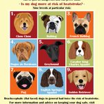 Photo by Hot_Dogs_research (@HotDogsResearch)