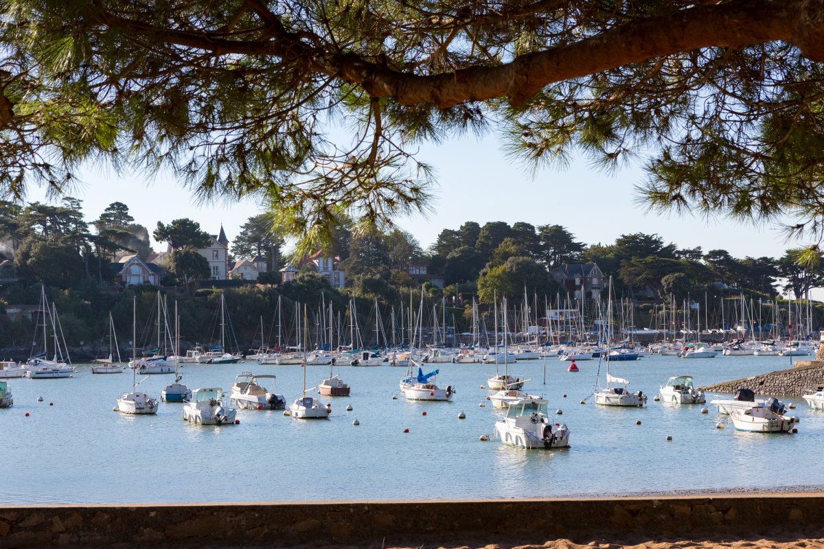 loireatlantique's tweet photo. On vous emmène sur la côte des Moutiers à Pornic 🌞🌊🐟
👉 https://t.co/FoVUB5cOk9
📷 Paul Pascal
#MesVacancesEnLoireAtlantique #MaLoireAtlantique https://t.co/T8Bmw9Trhw