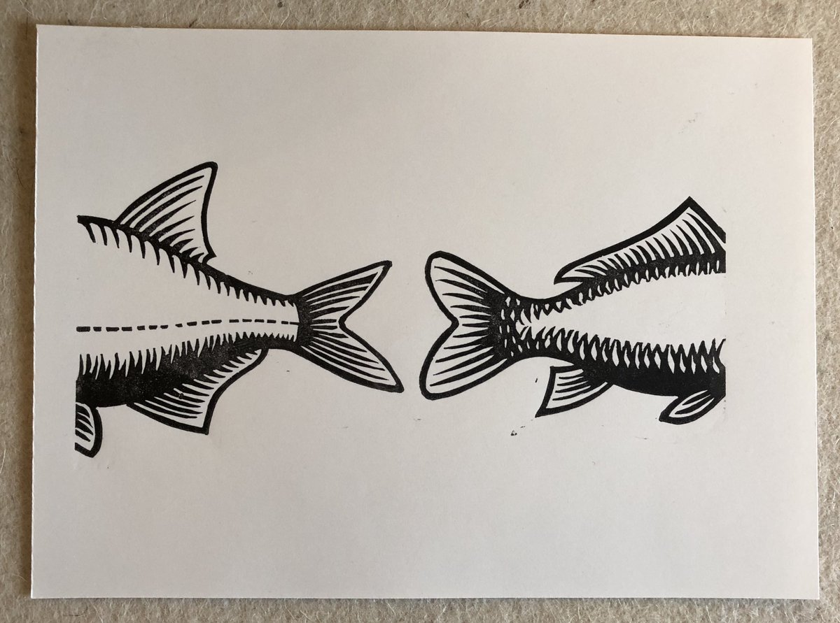 sjohndavey's tweet photo. Test printing for ‘A tail of two fishes’
#printmaking #linoprint #linocut #fish #fishes #fishy https://t.co/ERFY3CWNkh