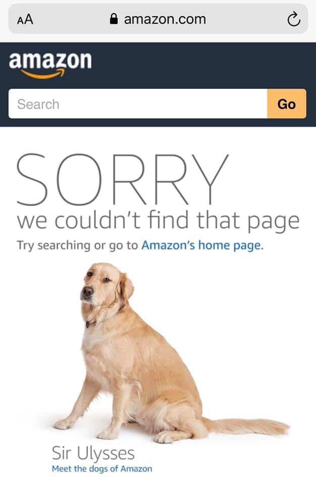 Amazonエラー犬コレクション Togetter Amazonエラー犬コレクション Togetter