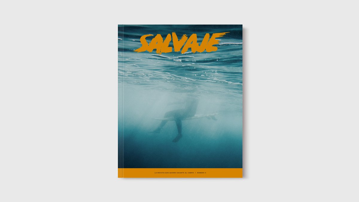 revista_salvaje's tweet image. 🌊¡Salvaje #5 a la venta la primera quincena de julio!🌊

Un golpe de agua, frescor y naturaleza que todos necesitábamos. 

Resérvala ya en nuestra web: revistasalvaje.com/tienda

(Fotón de portada de Víctor @bensusi)