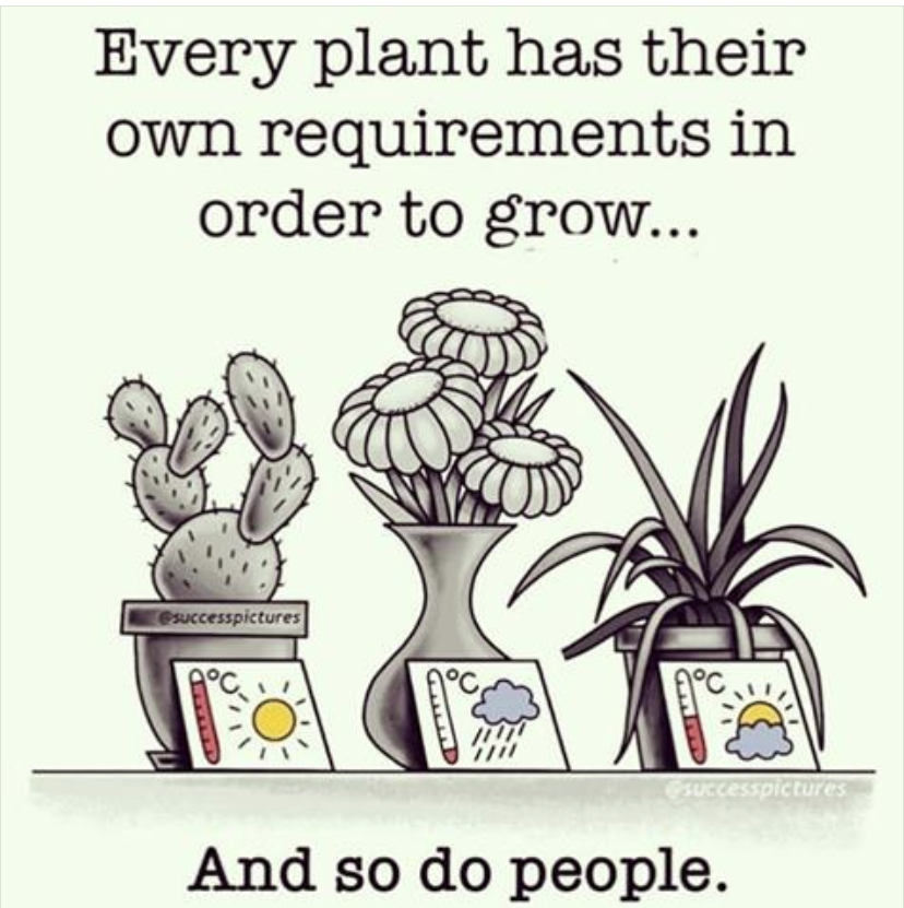 Thoughtful Thursday. When it comes to our wellness we need to figure out what works for us. We aren’t all the same and so we need find the right set of tools that works for us. Keep working on adding to your toolbox because what you need can changes over time.