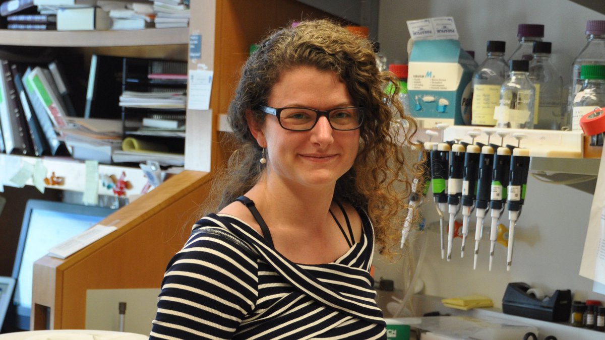 Stowers Grad School tweet media