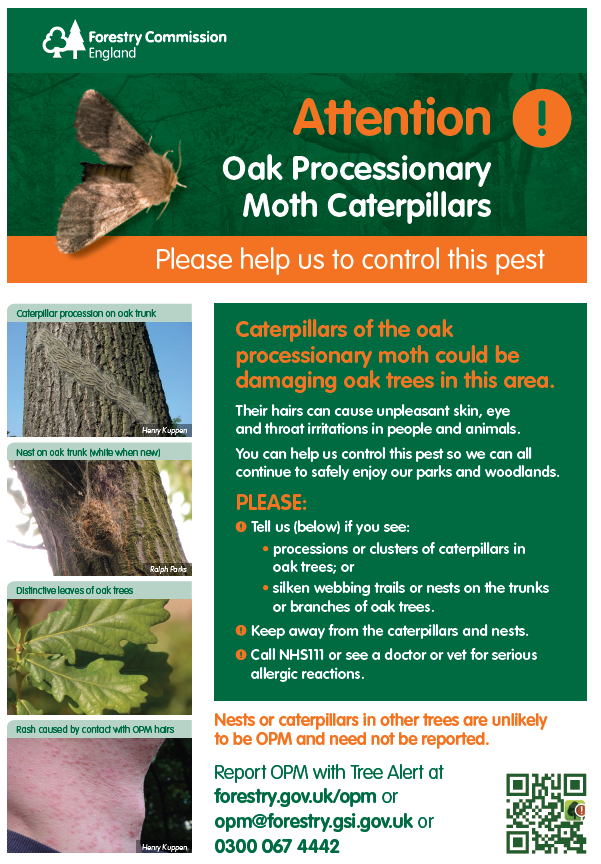 EWTRoding's tweet photo. (1/3) Oak Processionary Moth has been reported on the reserve. The caterpillars are pests of oak trees, and a hazard to human and animal health.
Information posters have been put in our noticeboards to alert visitors. Staff are checking the reserve... https://t.co/m7gGbX8YR9