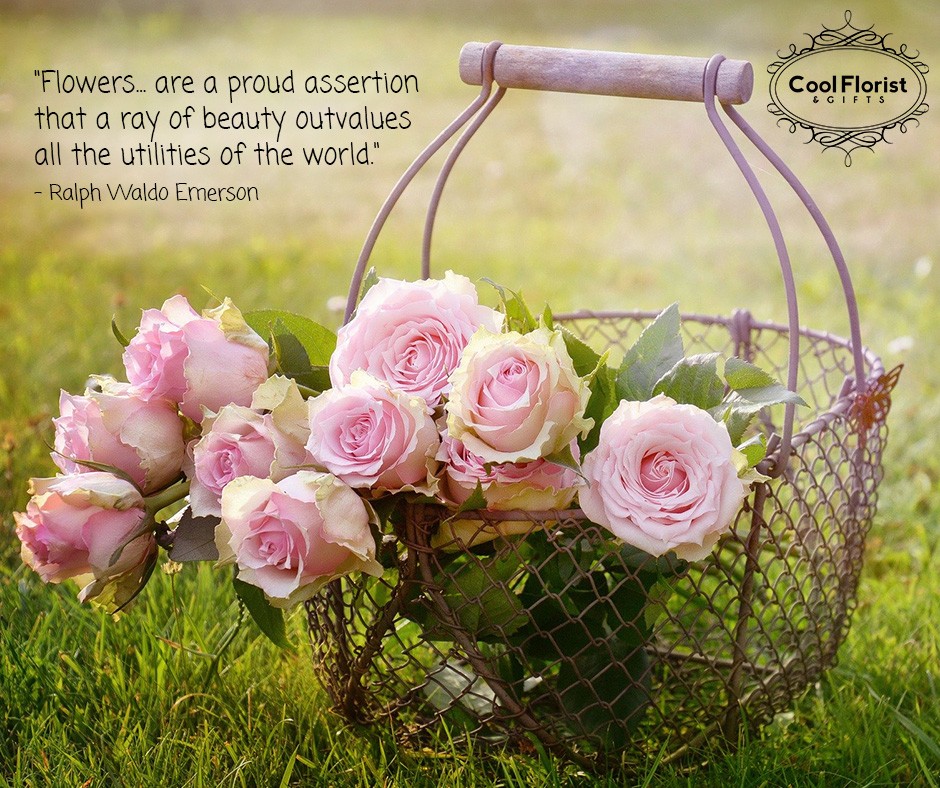 CoolFlorist's tweet photo. "Flowers... are a proud assertion that a ray of beauty outvalues all the utilities of the world." - Ralph Waldo Emerson

#CoolFlorist #CoolCA #Quote #Flower https://t.co/l76j71HcjO