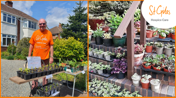 StGilesHospice's tweet photo. This #ThankYouThursday, we're feeling very grateful for our green-fingered fundraisers! 🎍

Many of our kind-hearted colleagues and supporters have been holding plant sales in their streets - from volunteer gardener Jeremy Blunt (left), to long-term supporter Arthur Tindle 🧡 https://t.co/Ib9UdFj8aL