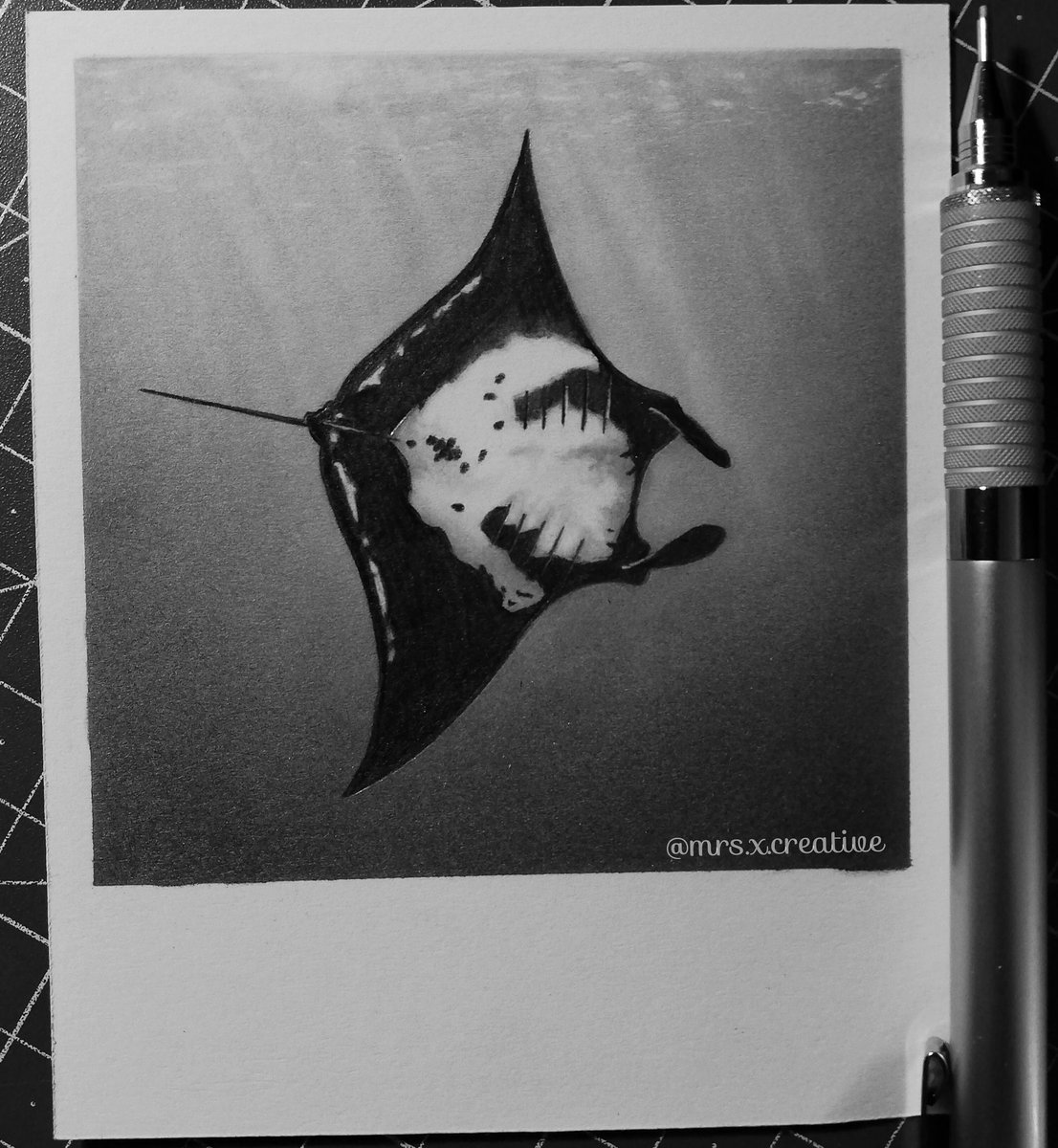 _woelkchen's tweet photo. Manta ray
Berlin 2020-06-18
.
https://t.co/zk1NWPy1MG
.
#mantaray #germany #pencil #traditionalart #traditional #pencilart #mantarochen #realistic #drawing #animal #animals #underwater #world https://t.co/GsgUEDTp7B