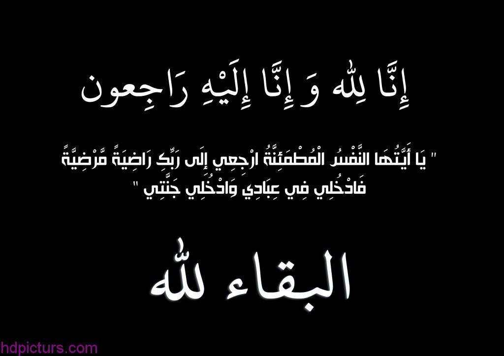 قلم يعبر tweet media