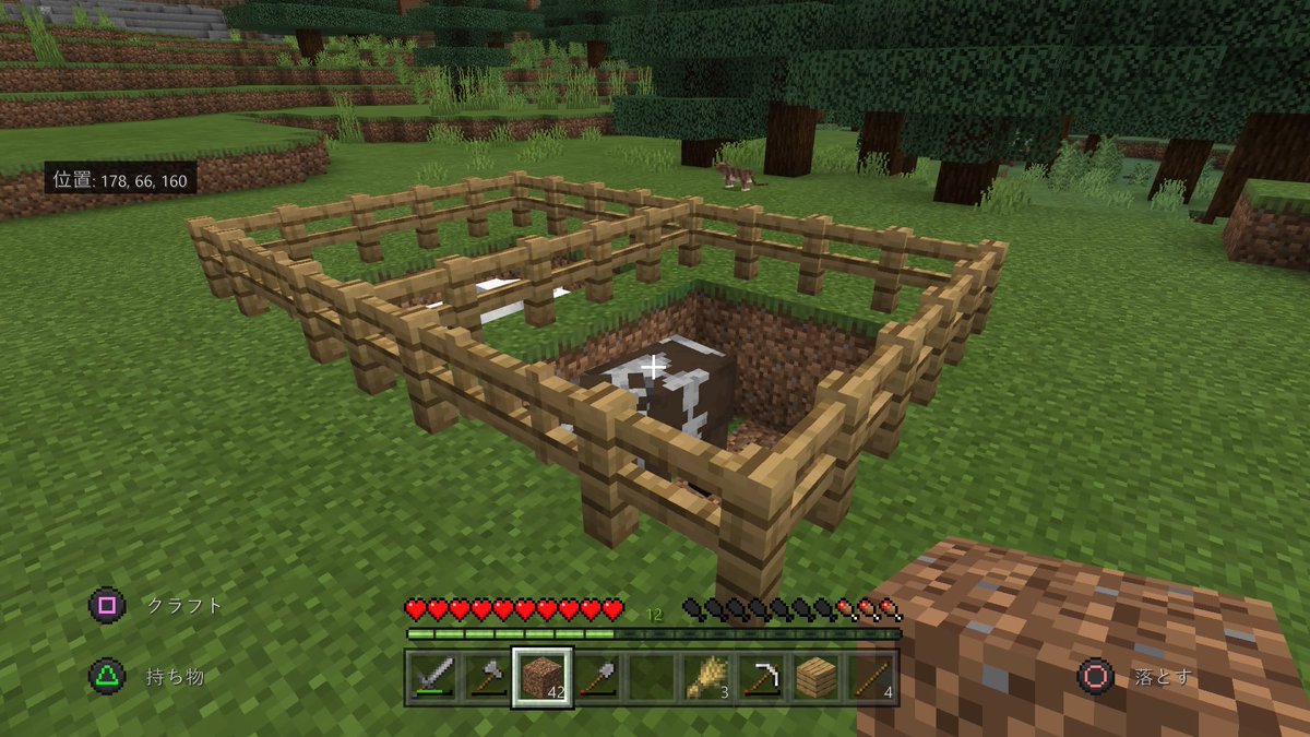 れのんstein とりあえず最初は畑と牛 羊の確保 木材はある程度集まってるから 無理の生地しなきゃ マイクラ マイクラ建築 Minecraft建築コミュ