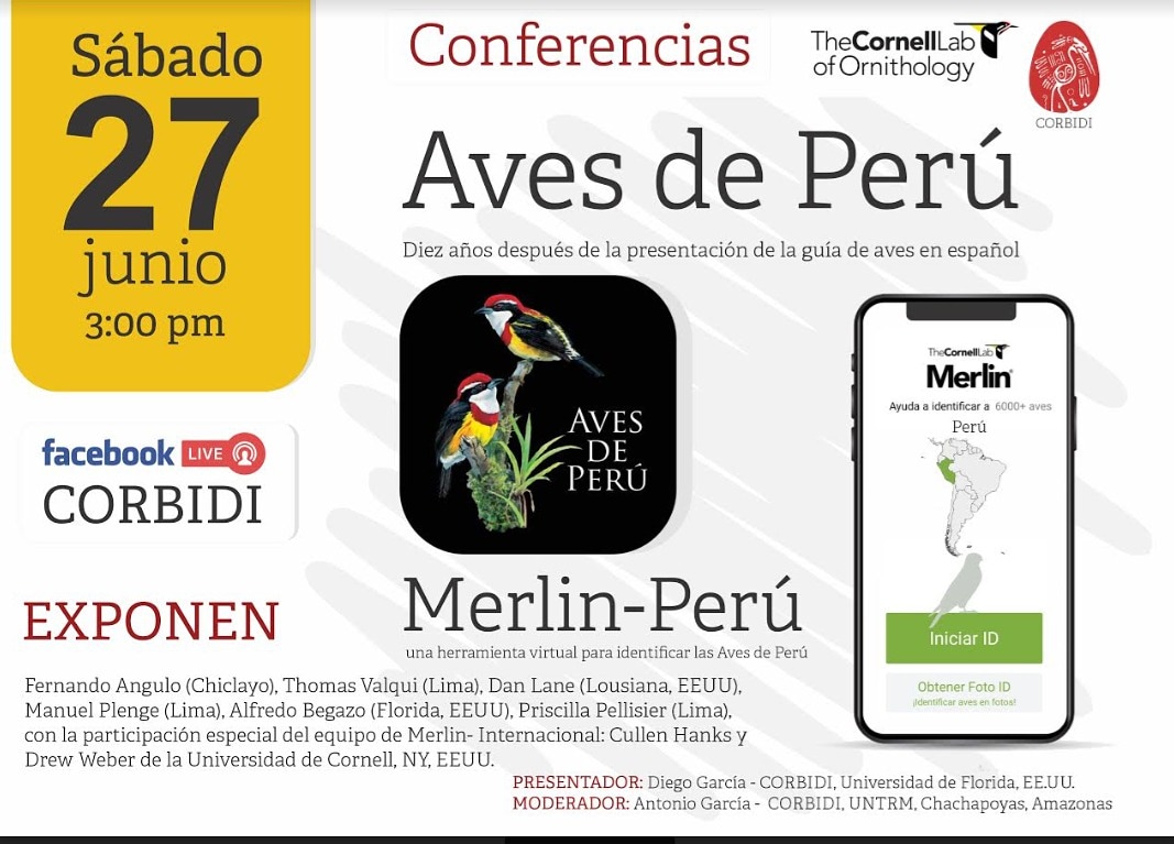 Merlin-Perú, una herramienta virtual a diez años de la guía  'Aves de Perú' en español. 
Celebramos 10 años de lanzamiento del libro #avesdePeru en español y presentamos el paquete de datos para #Perú, del app 'Merlín', una herramienta de #CornellLabofOrnithology #27dejunio