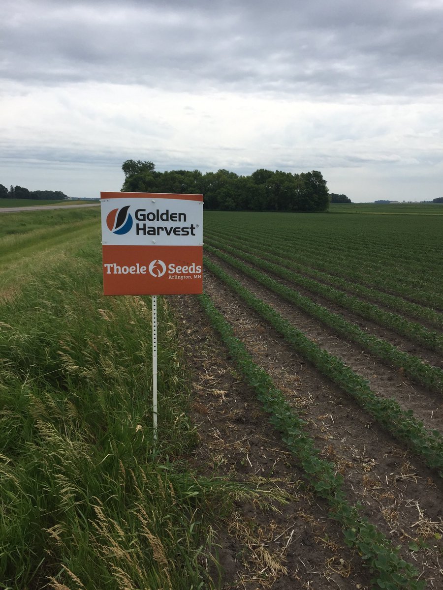 Southern MN GH Team tweet media