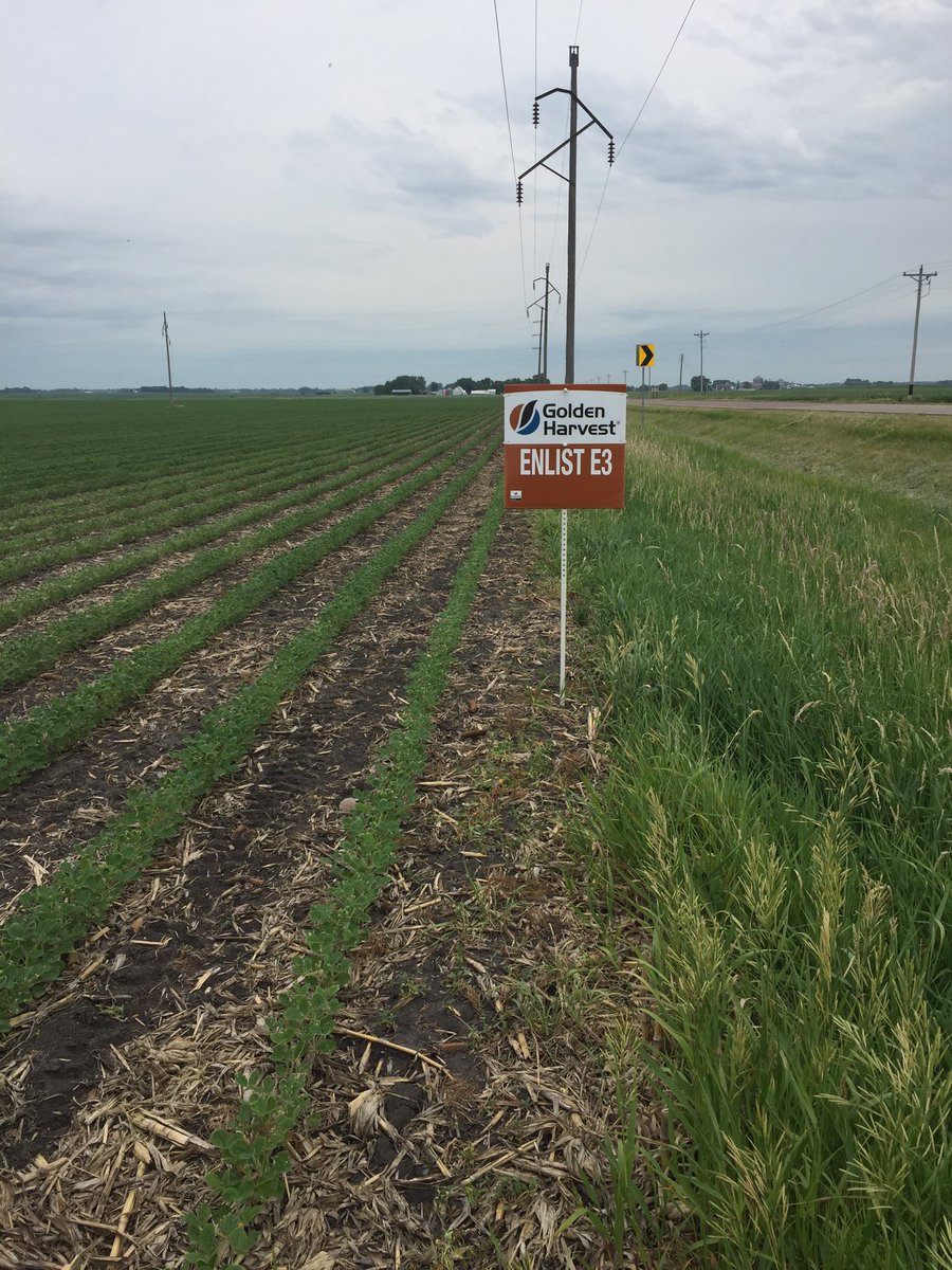 Southern MN GH Team tweet media