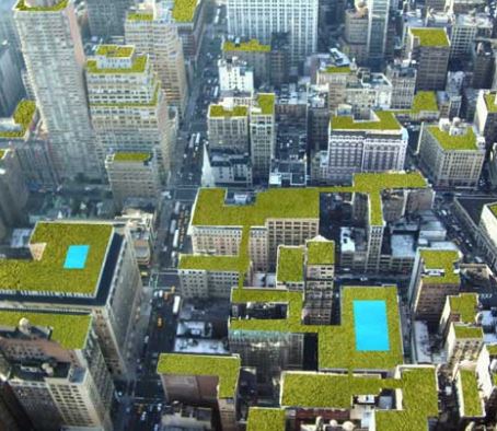 ZinCoUSA's tweet photo. GREEN ROOFS. We need more of them! Especially metro areas---where parks, trees, flowers, vegetation is limited. Cities are planning/implementing more! Free Consultation #zincousa #greenroofs #greenroofexperts #8667663155 #healinggarden #roofvegetation #roofgardens #rooftopfun https://t.co/BSF2RBuR0a
