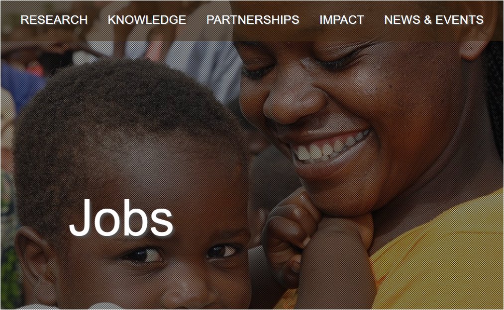 IITA_CGIAR's tweet photo. We're hiring🔎

1️⃣Admin. Officer: https://t.co/mIXbd6On4p
2️⃣Business Dev. Officer: https://t.co/WCoxq05TGo
3️⃣ICT Officer: https://t.co/QFZwJxvI93
4️⃣Monitoring &amp; Evaluation Officer: 
https://t.co/MoLkTQFMUl
5️⃣STEP Training Officer: https://t.co/ycmDZMgeng
#Jobs #iitaTransformAg https://t.co/dWY8SAt2fX