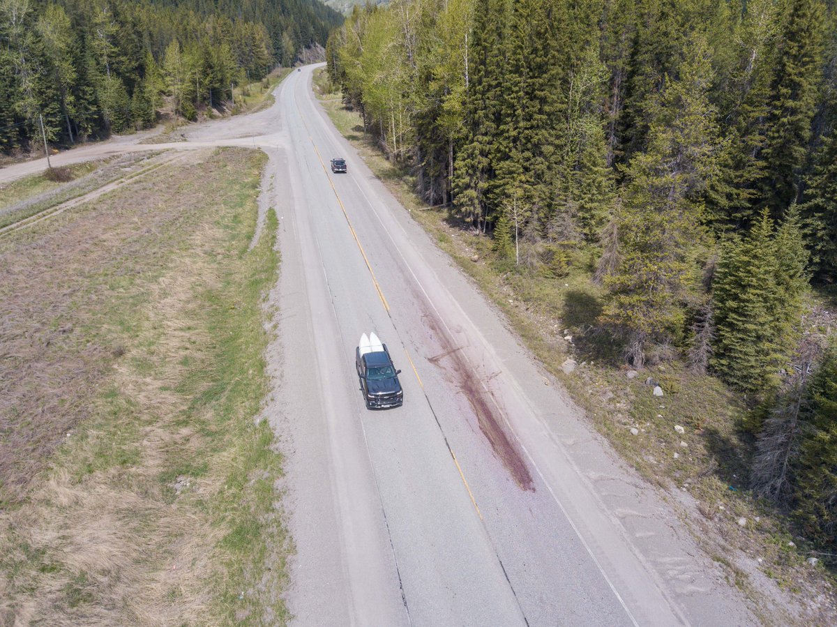 Another issue was roadkill. Animals get hit on Highway 3 in large volumes. 100's a year, and the issue extends well beyond grizzly bears to elk, sheep, deer, moose, etc. These collisions threaten human lives as well, and cost society millions. We wanted to change this.