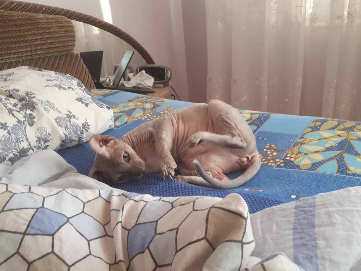 Снова #нюдсочетверг и снова самая лучшая лысая киска для вас.