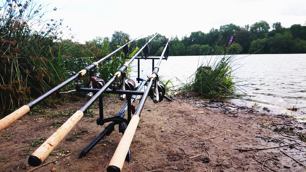 2Sebius's tweet photo. Wishing for the week end
#teammukus
#carp
#peche #nokill
#carpiste #photography #photo #carp #carpangler https://t.co/bQUwbwEVF5