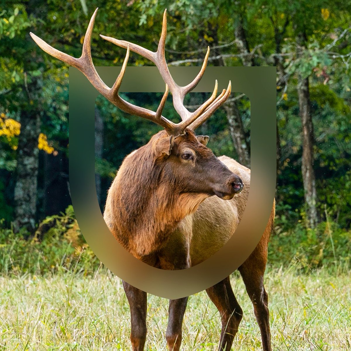 NE TVAR EC tweet media