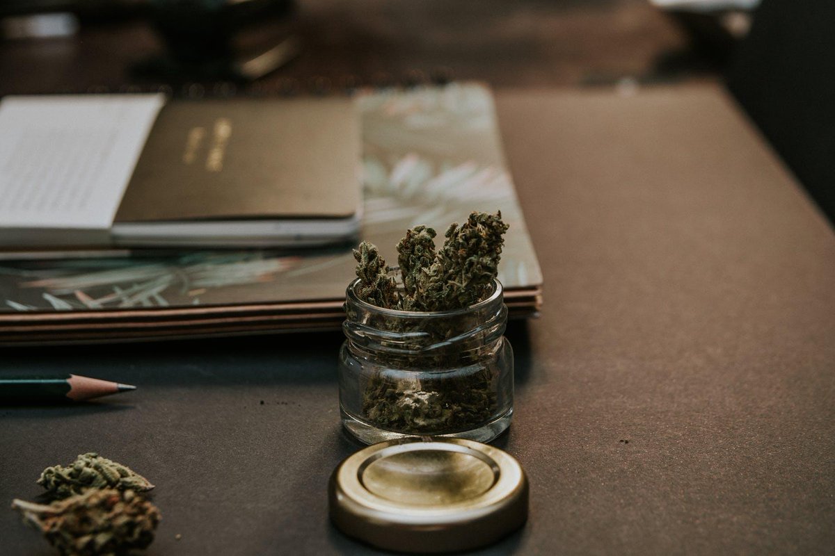 We're happy to announce that our BOGO deal is still going on! Buy one ticket and you'll get one all-access ticket for free! 

Learn more today:
usccexpo.com

#USCannabisConferenceAndExpo #BOGO #Cannabis