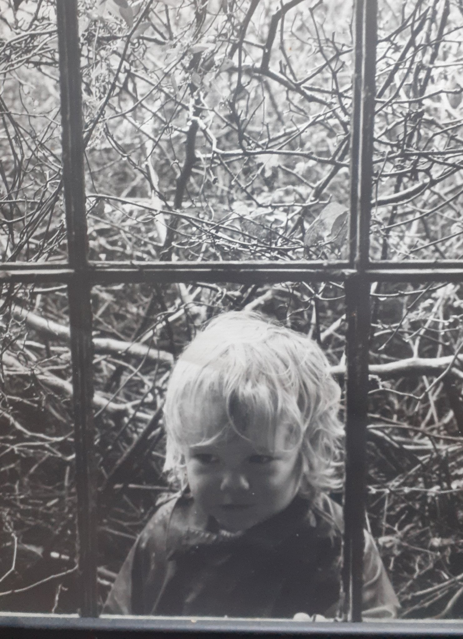 Happy birthday Julian Assange. 