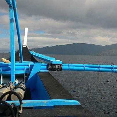 SiltlessDeepSea's tweet image. Lets Dive Philippines! #tipofthespear