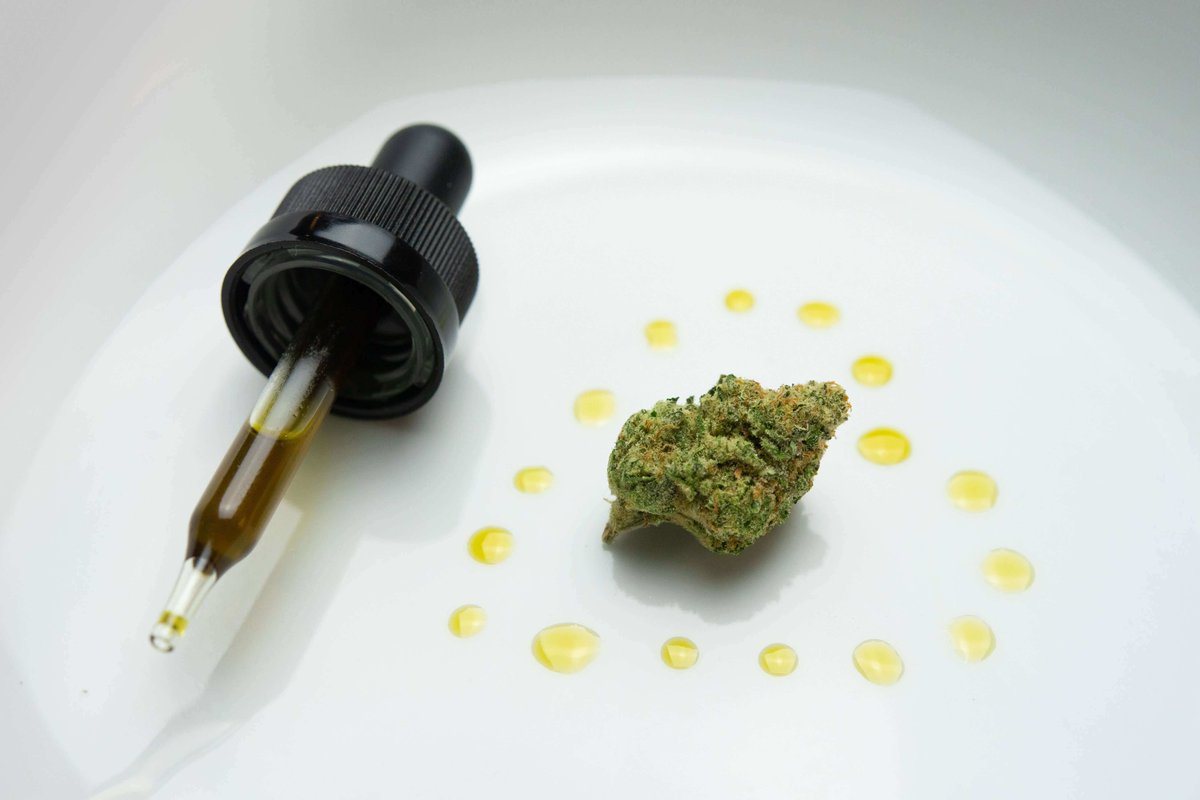 cannabisonary's tweet photo. If you're overwhelmed by the wide variety of CBD products, you are not alone. Read What Is CBD and How Much CBD Should You Take? https://t.co/5pyCm8w5aj
#cbd #cbdvaping #vapingcannabis #cbdoil #cannabinoids #cannabidiol https://t.co/GVCif4n2xL
