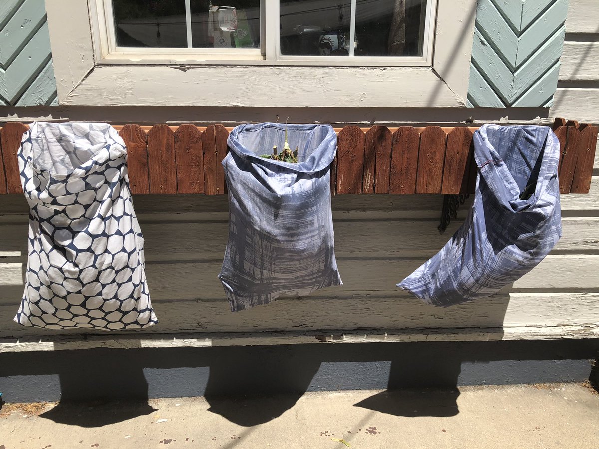 Hang your filled pillowcases in the sun for a day or two to allow little critters to escape and to get the seeds to dry.Don’t forget to bring them inside at dusk so you don’t repopulate them work critters!