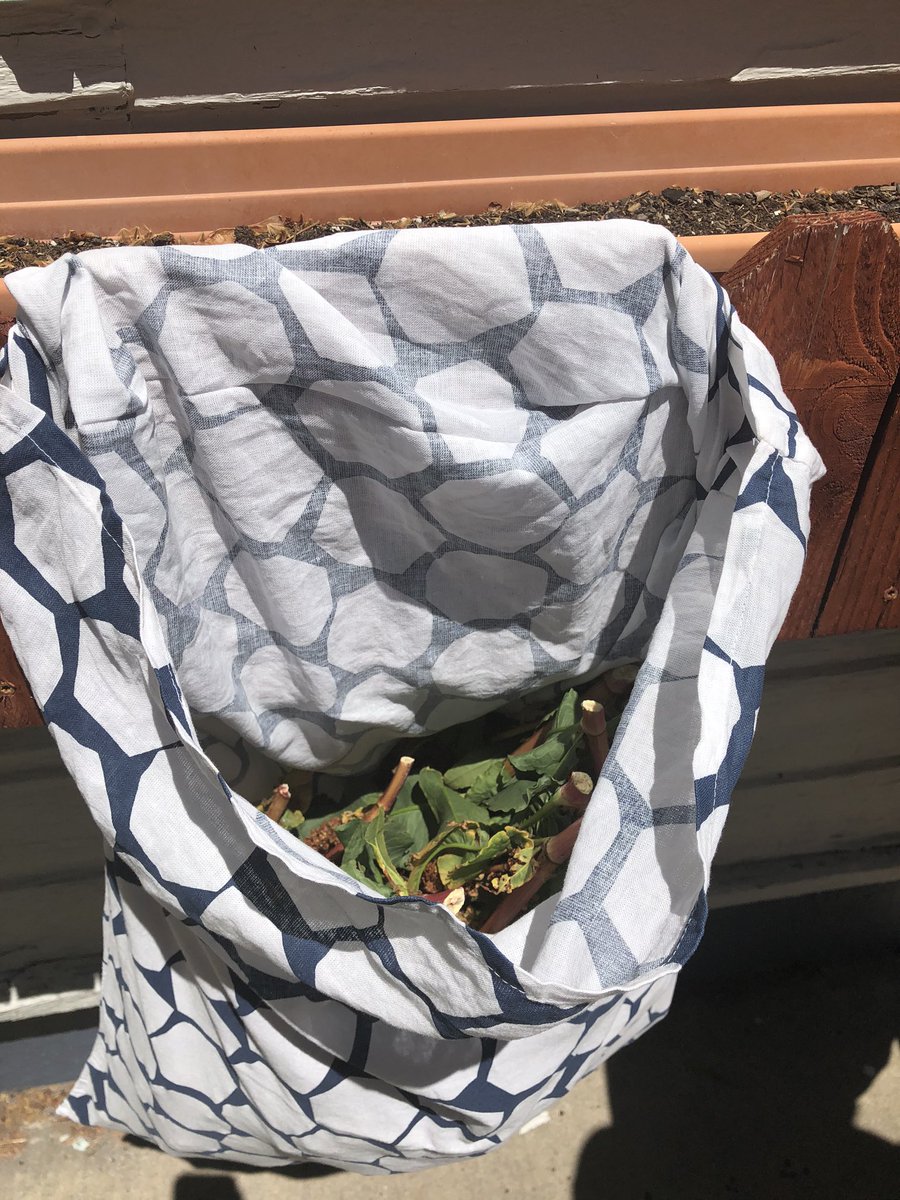 Hang your filled pillowcases in the sun for a day or two to allow little critters to escape and to get the seeds to dry.Don’t forget to bring them inside at dusk so you don’t repopulate them work critters!