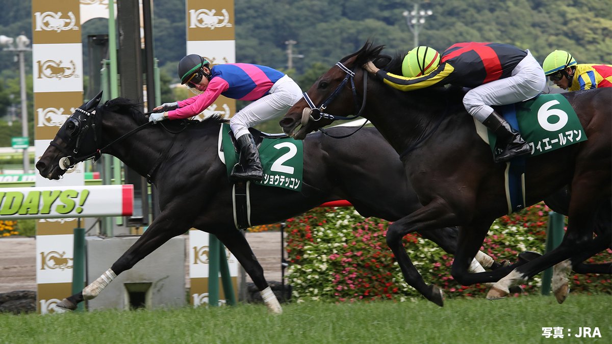 Umabi On Twitter 今週末は ラジオnikkei賞 Giii 秋へと続く 重要な3歳ハンデ重賞 2018年の優勝馬は 2019年の日経賞 Gii を制した メイショウテッコン 2着馬は 菊花賞 Gi や天皇賞 春 Gi 連覇を達成した フィエールマン だったよ うまび ラジオnikkei