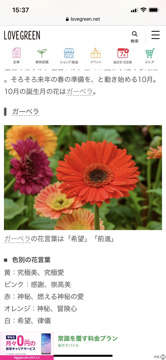 むびぃ キツネスキー コリンちゃんに似合いそうな花ばかり 18年5月にあったらしい 黒猫側コラボのコリンちゃんは 腹部はカーネーション 頭左か毛先タニウツギ アルティミシアは 葉からシャクヤクかな と5月の花ばかりでした W ゞ むびぃ キツネスキー コリンちゃんに似合いそうな花ばかり 18年5月にあったらしい 黒猫側コラボのコリンちゃんは 腹部はカーネーション 頭左か毛先タニウツギ アルティミシアは 葉からシャクヤクかな と5月の花ばかりでした W ゞ