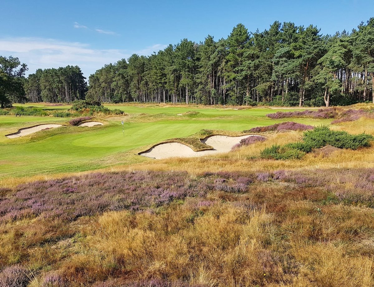 Ipswich Golf Club tweet media