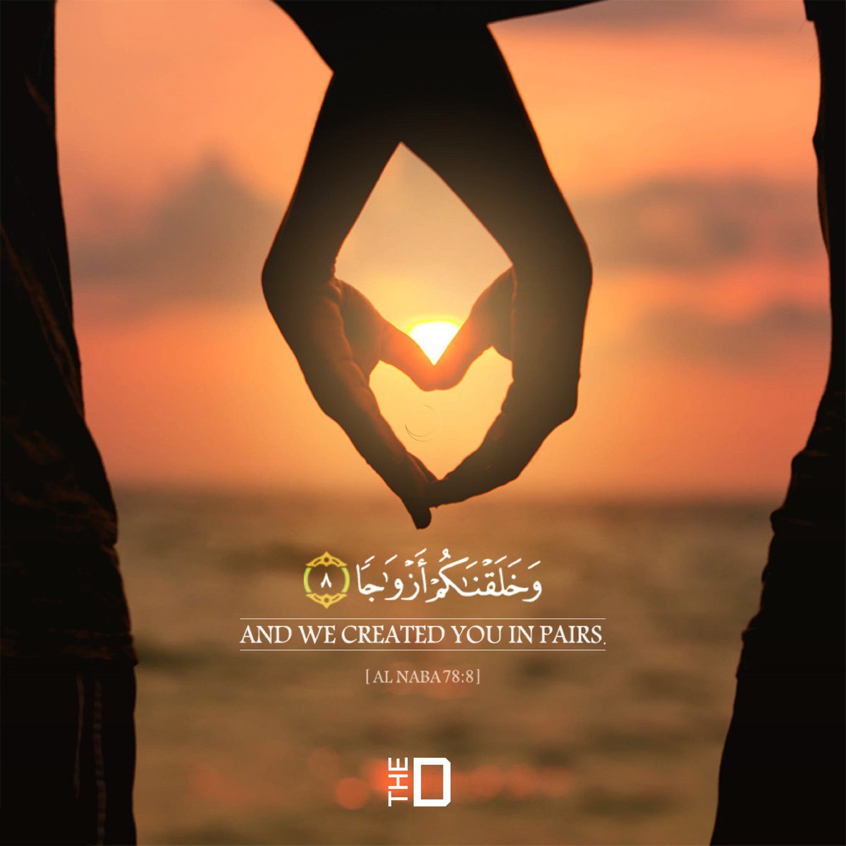 Laillahaillallah Twitter Search