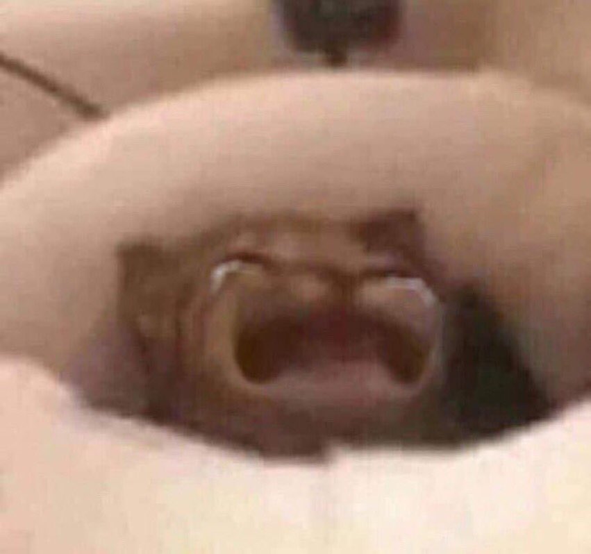 αtѕu ✨ (@m00nb34st) on Twitter photo 