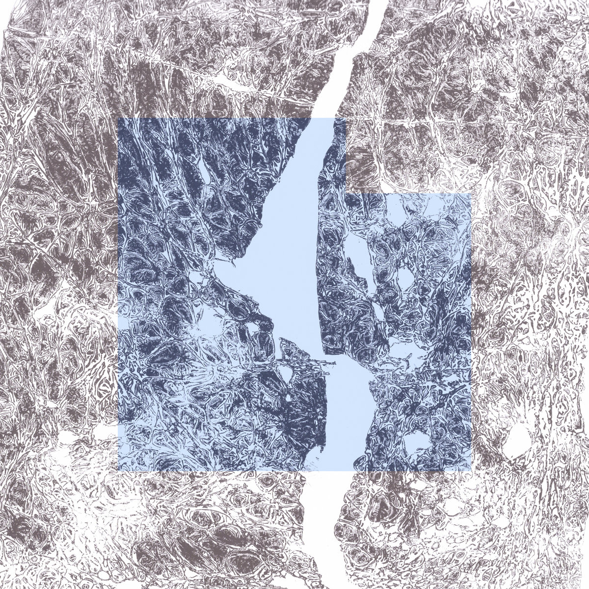 Headphone Commute (@h_c) on Twitter photo I've got three discoveries for your Friday listening which I think that you would love! Here are new sonic gems from Mathieu Karsenti, Ben Crosland, and Hamed Mafakheri : hcdi.gs/Durations
cc: <a href="/MathieuKarsenti/">Mathieu Karsenti</a> @slowcraft <a href="/bigoandtwigetti/">Bigoandtwigetti</a> <a href="/CroslandPiano/">Ben Crosland</a> <a href="/FlamingPines/">Flaming Pines</a> I've got three discoveries for your Friday listening which I think that you would love! Here are new sonic gems from Mathieu Karsenti, Ben Crosland, and Hamed Mafakheri : hcdi.gs/Durations
cc: <a href="/MathieuKarsenti/">Mathieu Karsenti</a> @slowcraft <a href="/bigoandtwigetti/">Bigoandtwigetti</a> <a href="/CroslandPiano/">Ben Crosland</a> <a href="/FlamingPines/">Flaming Pines</a>