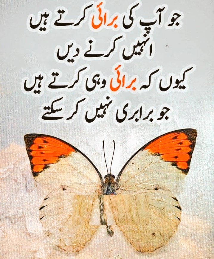 Rubia_Bashir tweet media