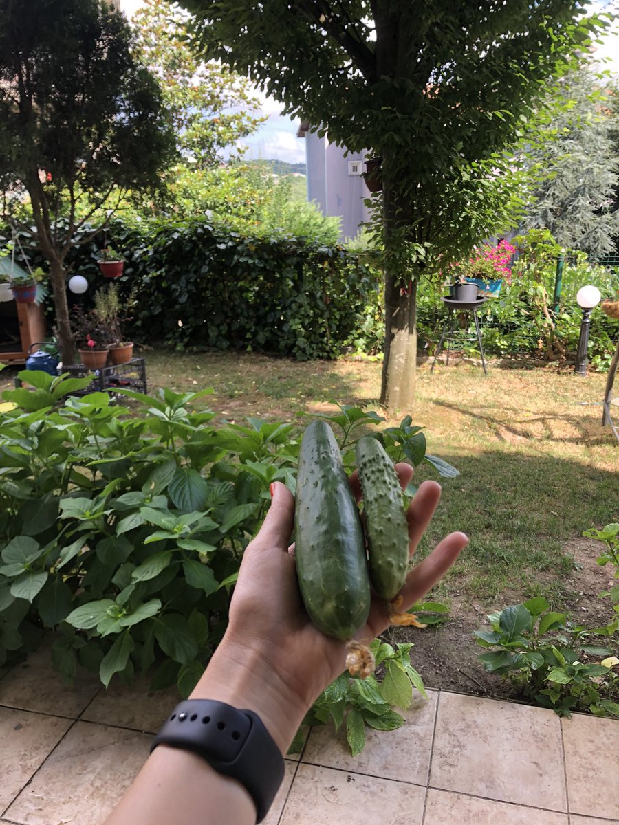 FINALLY! #pandemininbanakattiklari