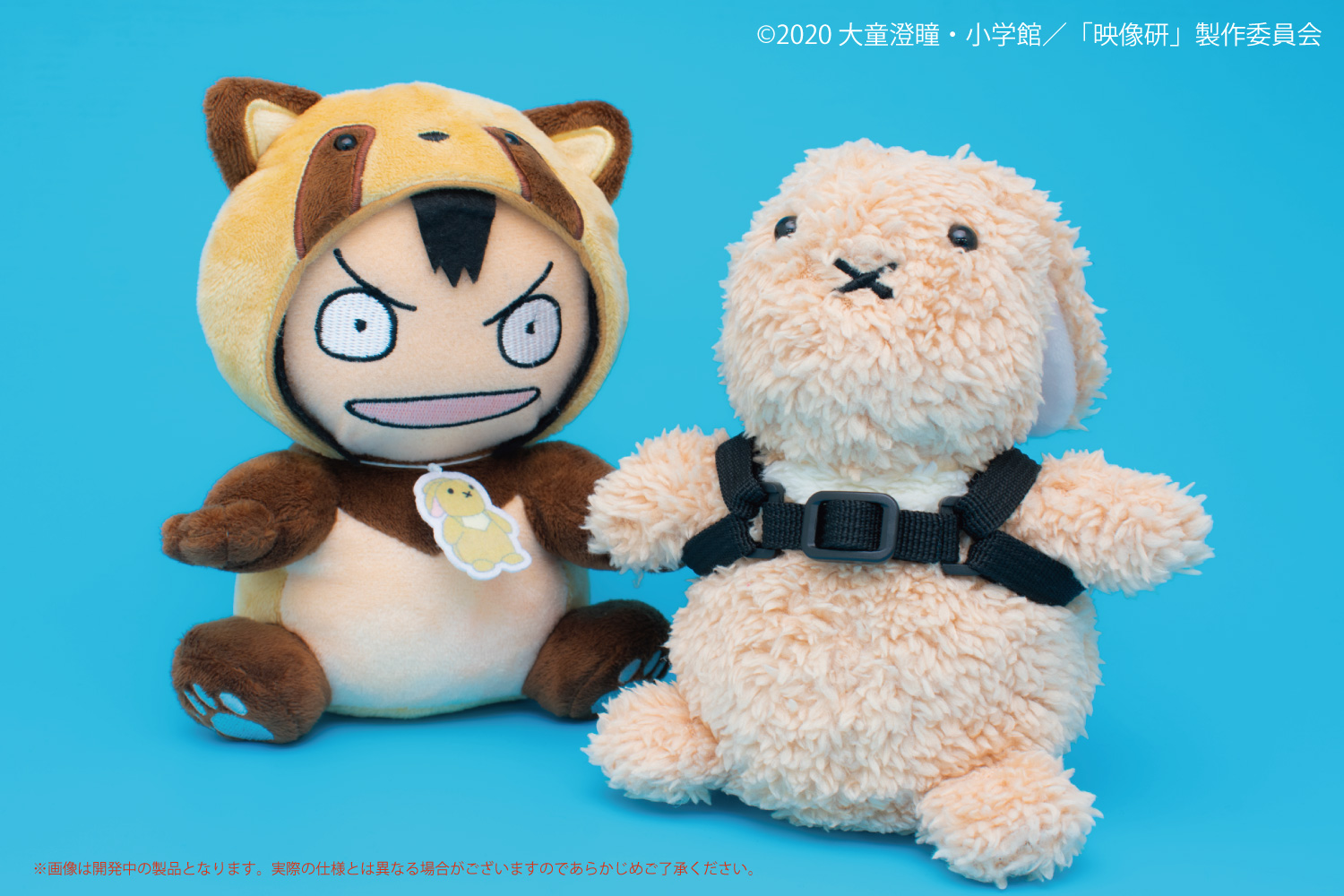 映像研には手を出すな！ 浅草氏のたぬきのきぐるみぬいぐるみ 大童澄瞳