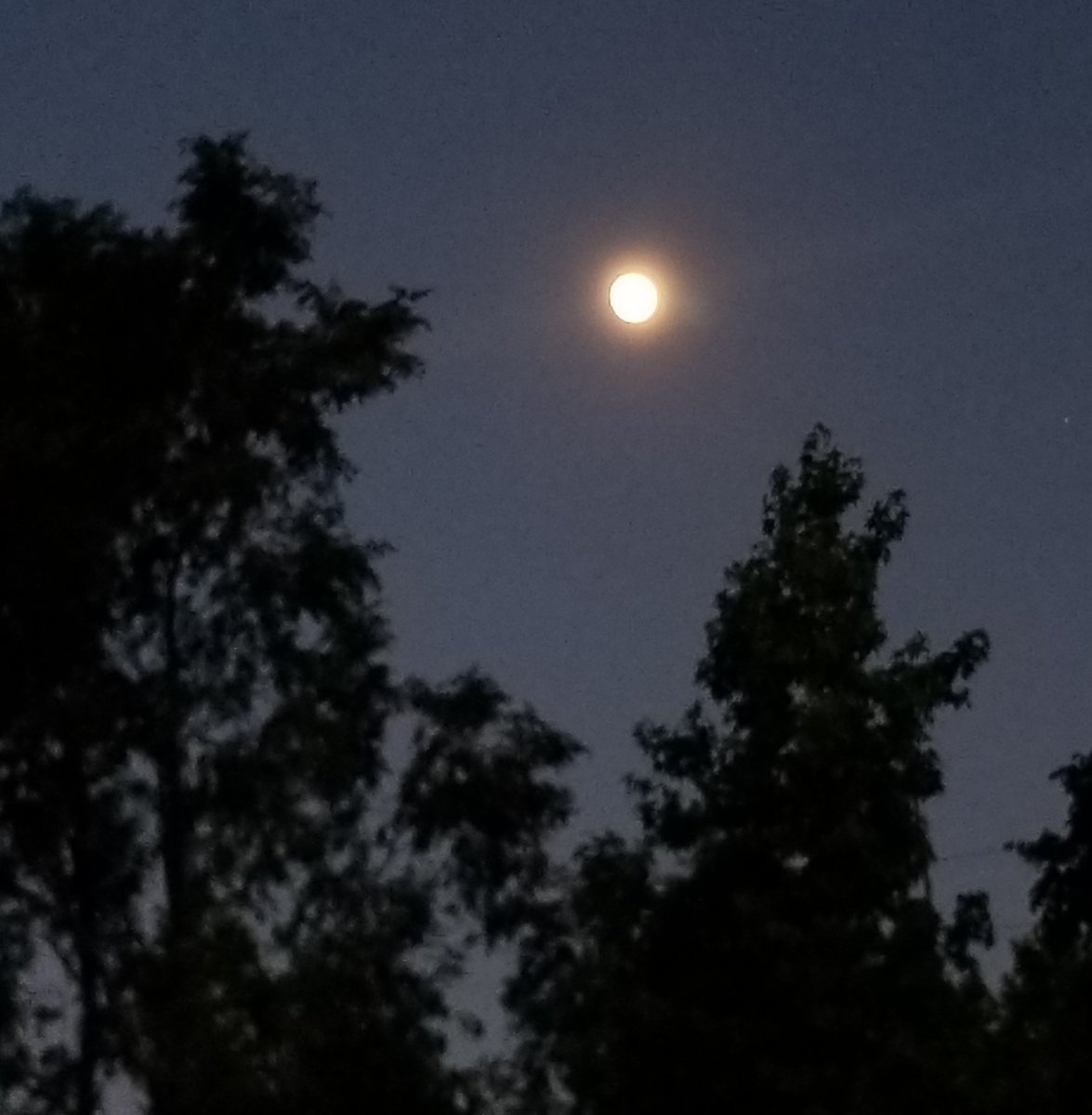 Paulette_writes's tweet photo. If the not-quite-full moon looks like this tonight, just think how cool it will be Saturday before the lunar eclipse!! Waiting on the #BuckMoon #ThunderMoon #FullMoonWeekend https://t.co/N8kBKzw1ye