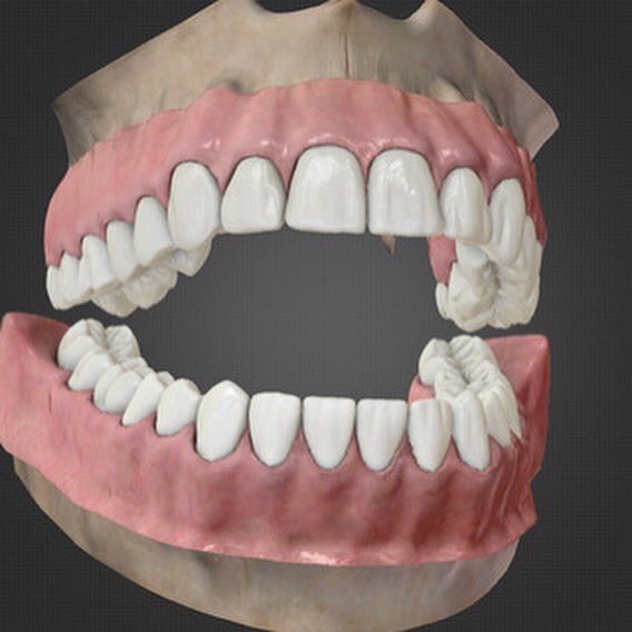 Dentistry Of Egypt (DentistryEgypt) Twitter