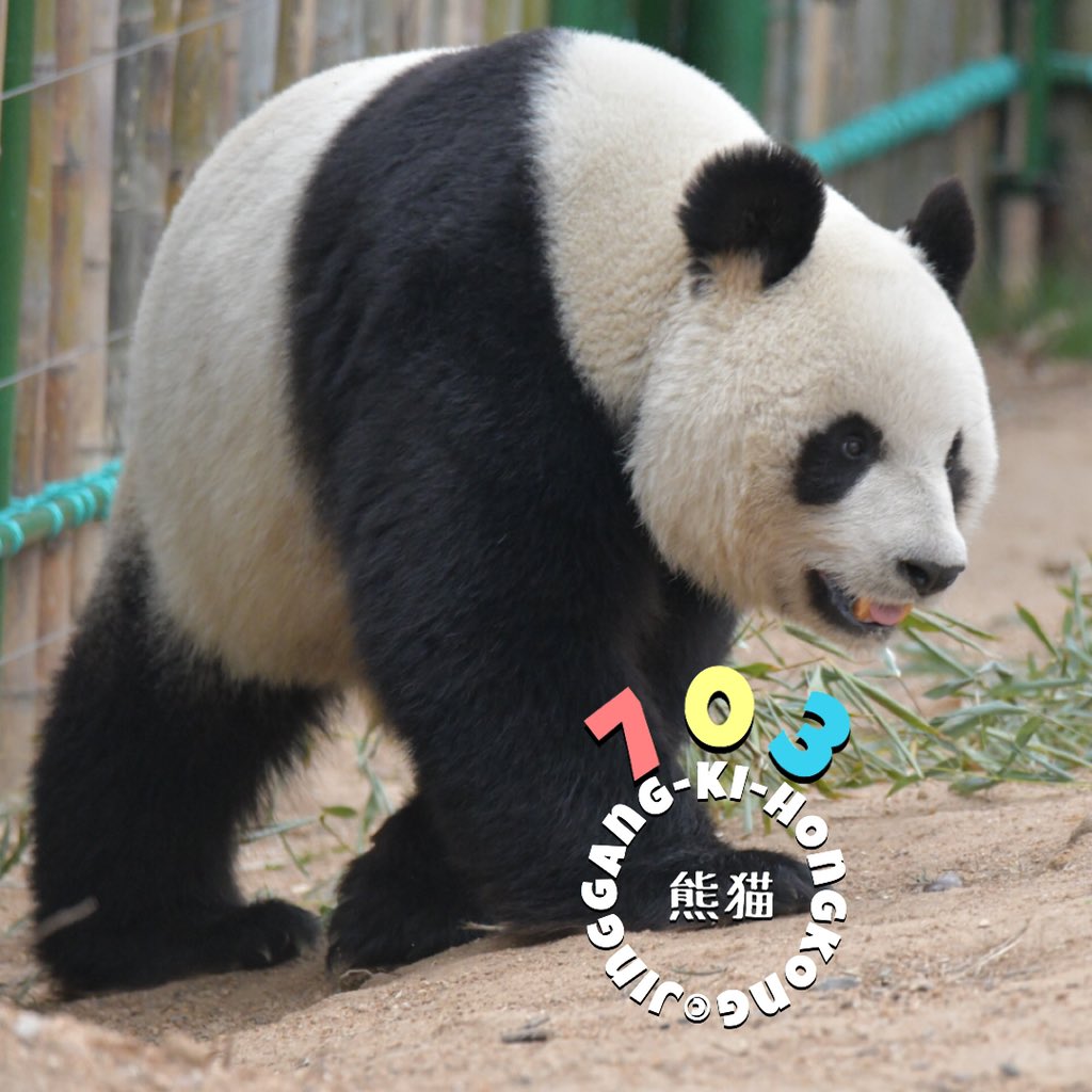 西霞口神雕山野生動物園hashtag 西霞口神雕山野生動物園hashtag