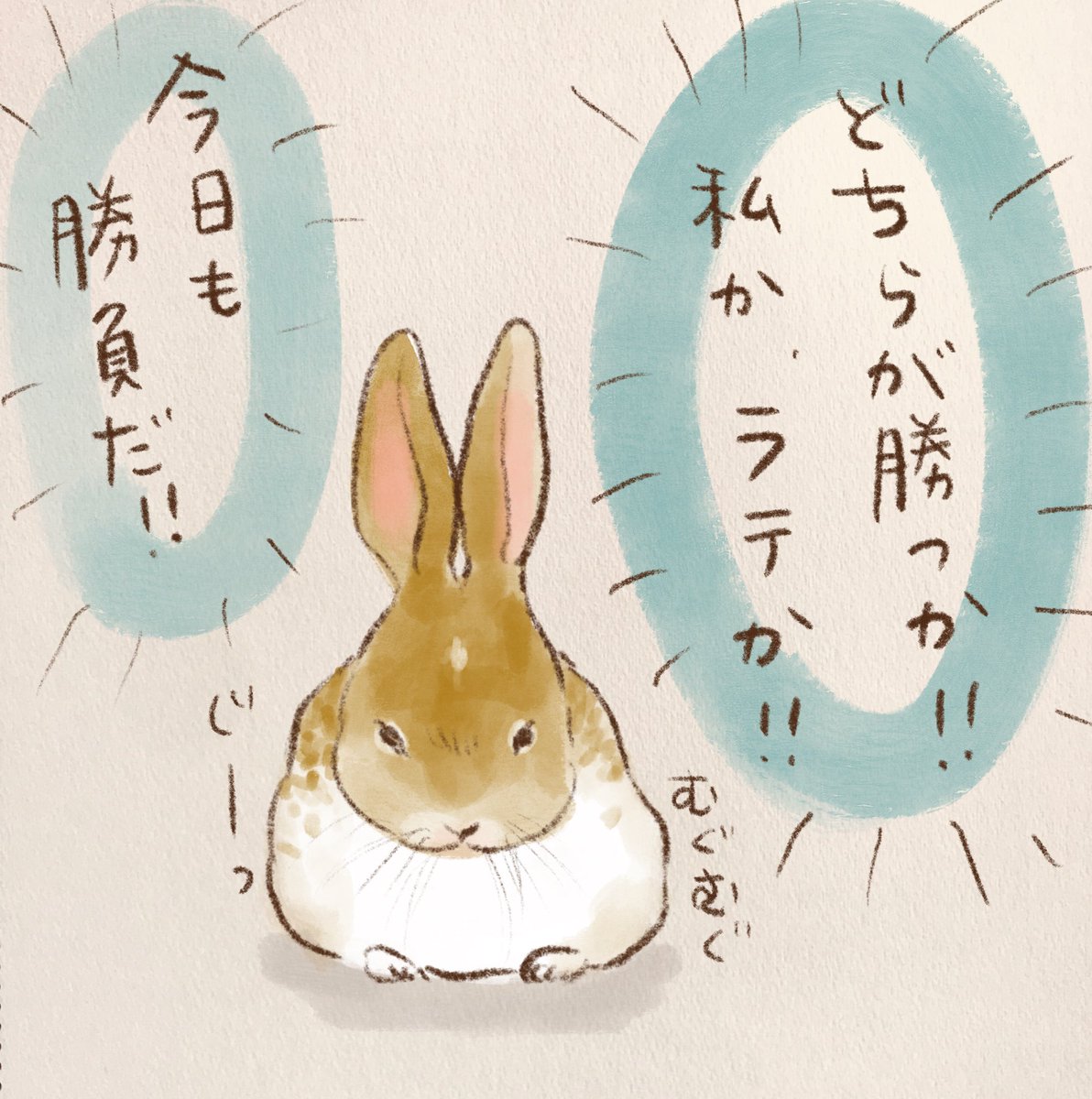 昨日は5戦3勝で、撫で勝ち!

#ネザーランドドワーフ #中谷ラテ #rabbit 