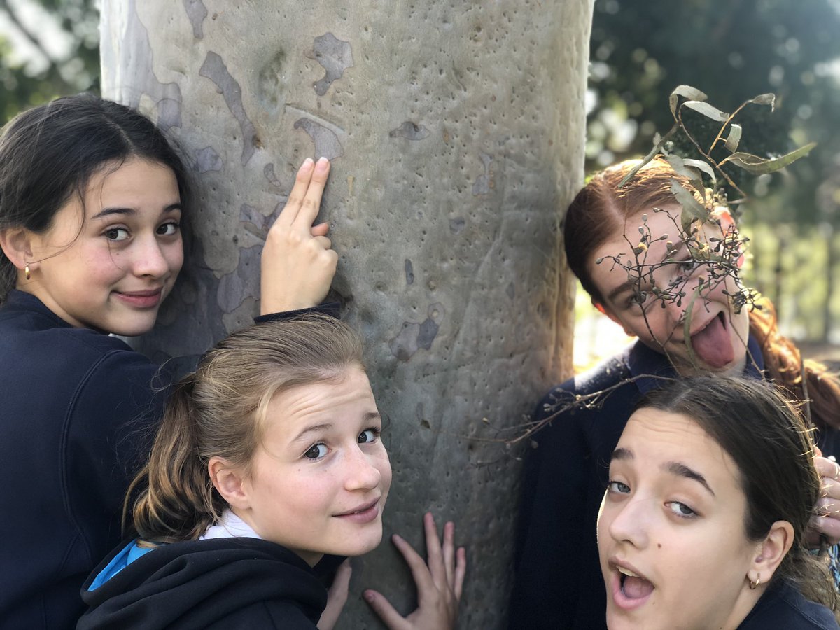 mayasives's tweet photo. help me and my friends raise awareness for mental health by taking a picture and tagging #touchatree https://t.co/qUe2NBdt8m