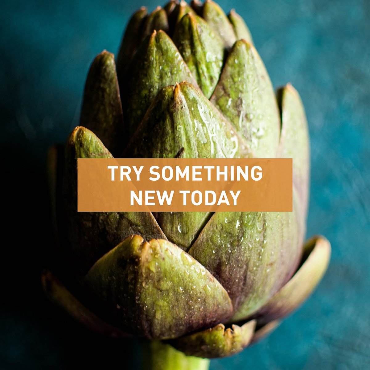 nutritionalpara's tweet photo. If we want to feed the future generations sustainably, we need to find ways to maximize existing agricultural land without expanding into new forests.⁠
⁠
Let’s increase the diversity of our foods together
⁠
#NutritionalParadox #healthierplanet #nature https://t.co/wdAV1Rfw1j