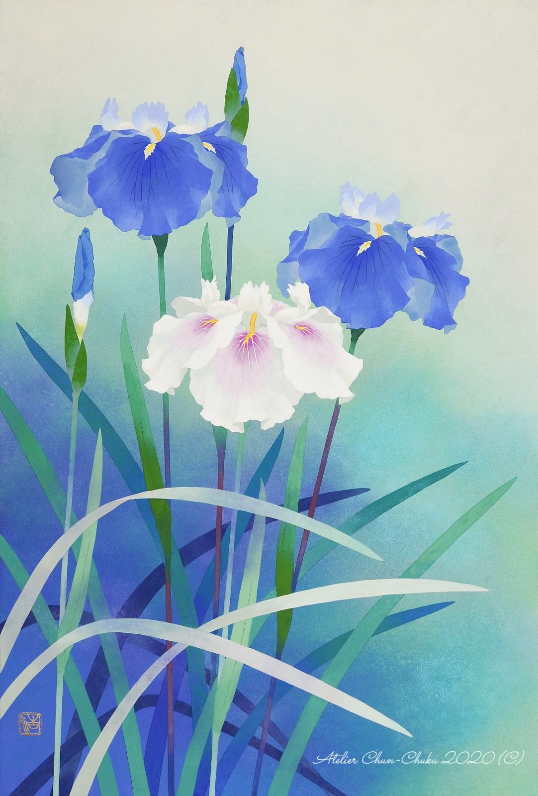 アヤメ菖蒲 青い花 日本画 花絵画 絵画