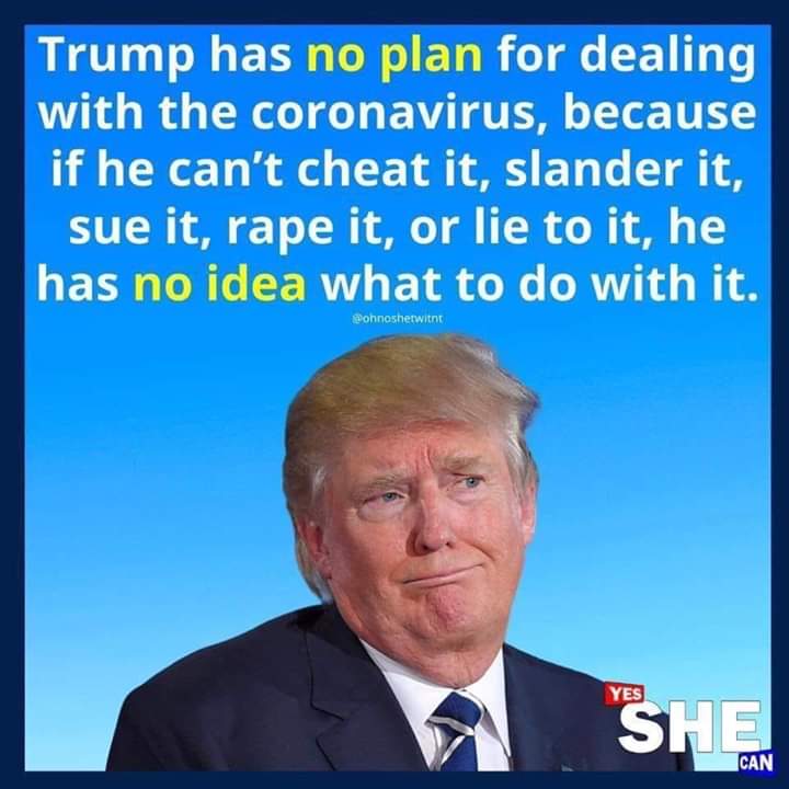 KennethMasson1's tweet photo. @realDonaldTrump #TrumpVirus #TrumpVirus2020 #TrumpVirusCoverup #TrumpVirusCatastrophe #TrumpVirusTestingFailure https://t.co/FC7LVwpVCg