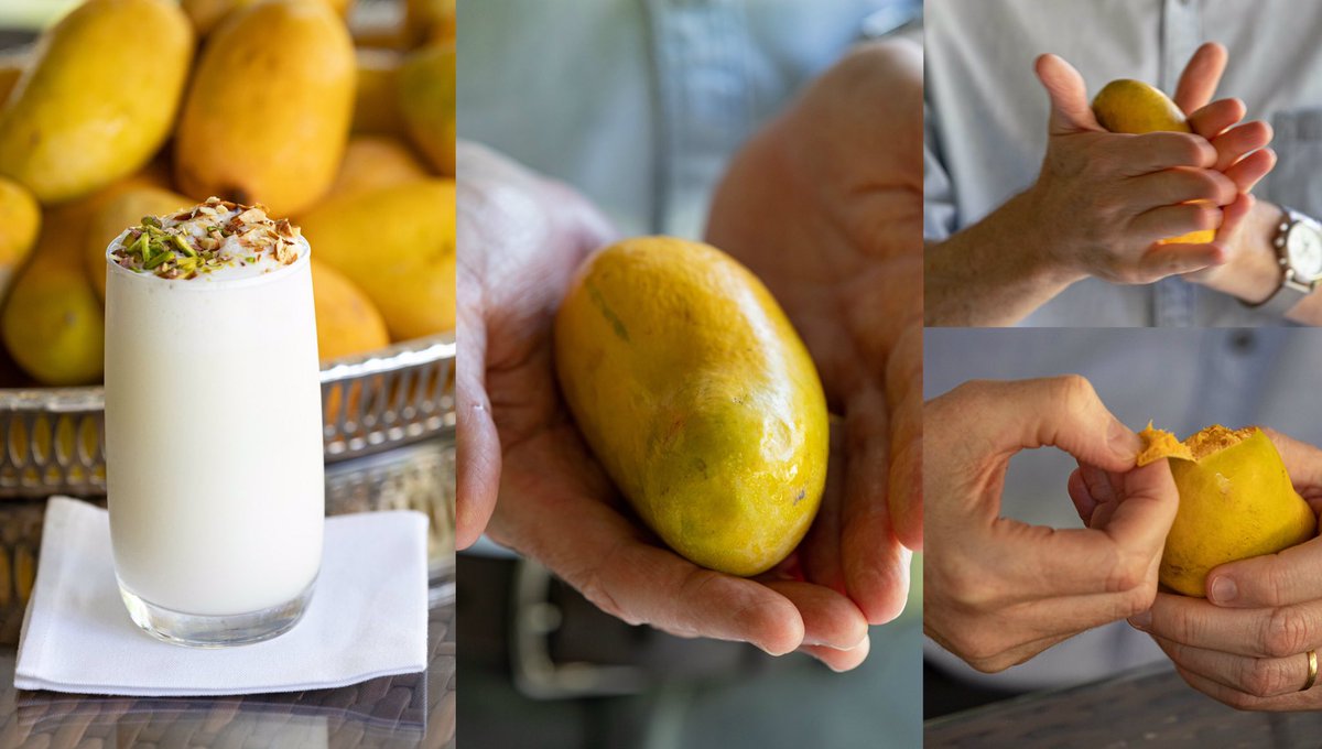AusHCPak's tweet photo. I’ve listened to the many comments after my previous tweet &amp; tried eating mangoes in the traditional Pakistani style.  A good #mango, eaten ‘the right way’, can lift your spirits &amp; give you as much pleasure as an ice cream! It’s rightly called ‘The King of Fruits’ in 🇵🇰 Pakistan. https://t.co/N22VfSg1X8