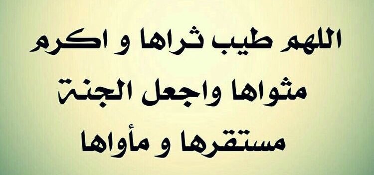 lolo92962532's tweet photo. #لولوه_العمران https://t.co/xQ6y862NbA