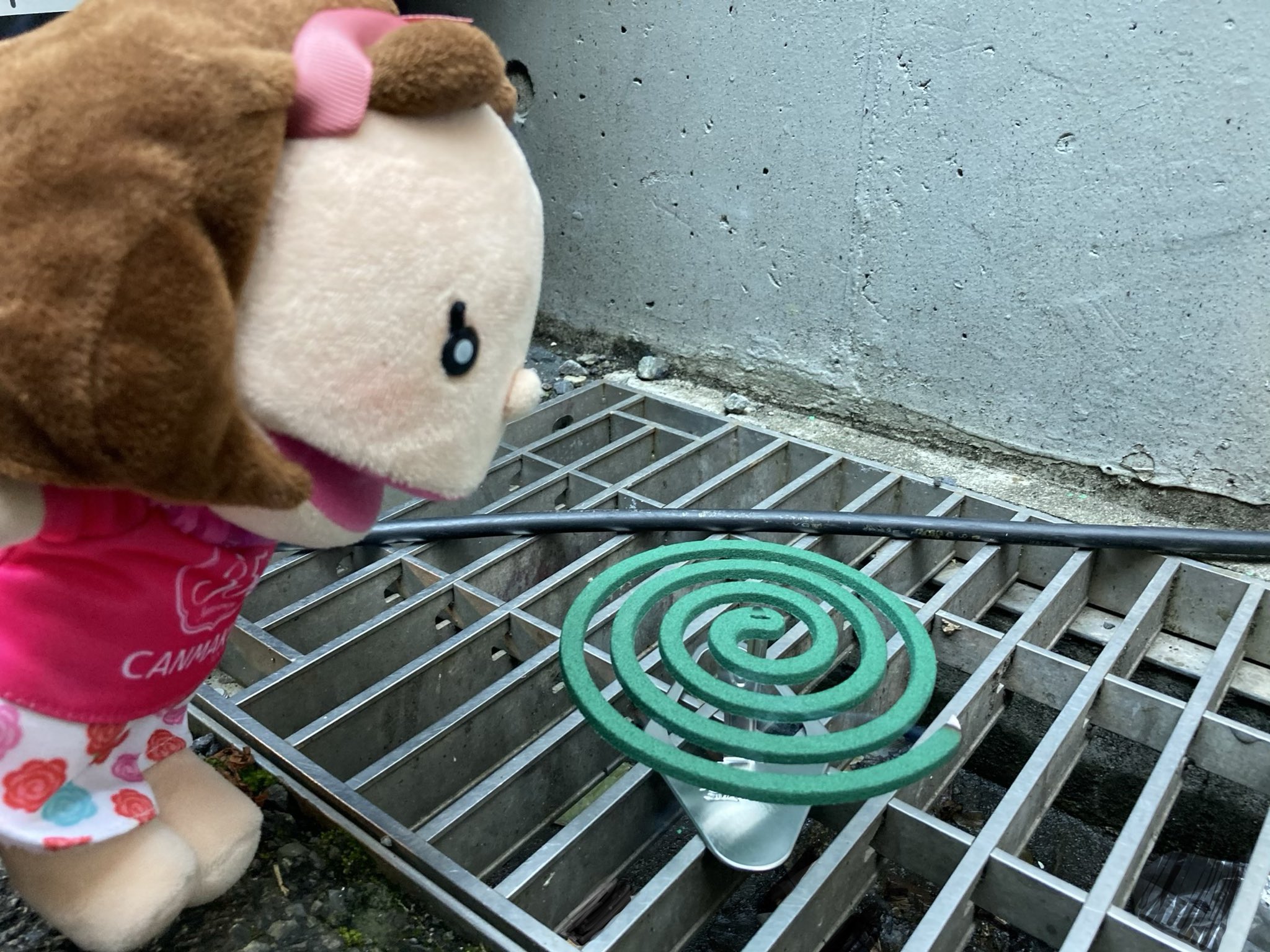 キャンちゃん 公式 ぷぅ ん 蚊が飛んでたから蚊取り線香をたいたなの 蚊に刺されない方法知りたいなの かゆ 蚊の絵文字 ちょっとリアルすぎるなの 蚊取り線香 虫よけ 夏 蚊に刺されない方法 キャンちゃん キャン